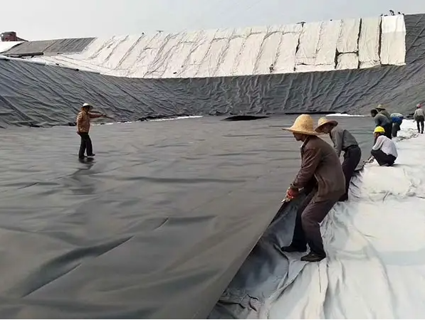길이는 고객의 요구 사항 HDPE 지오 엠브라인 수질성 생선 농장 연못 라이너 시트 6