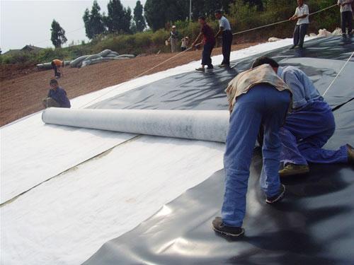 호수용 맞춤형 2mm HDPE 막 ASTM GM 표준 및 텍스처화 된 방수 필름 9